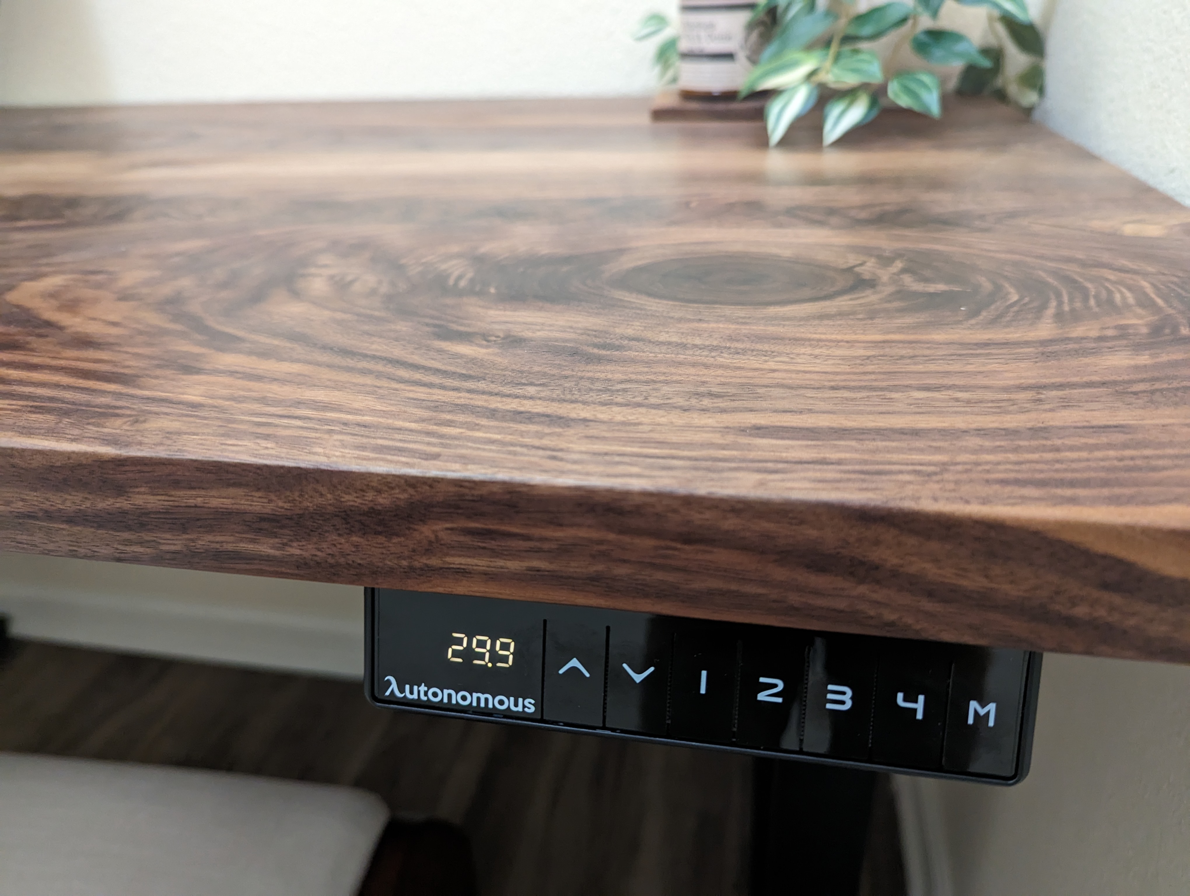 Woodworking piece — Pxl 20230725 001550891